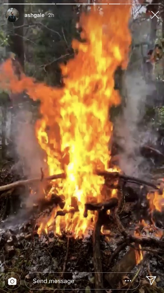 Tom Montesi tweet media