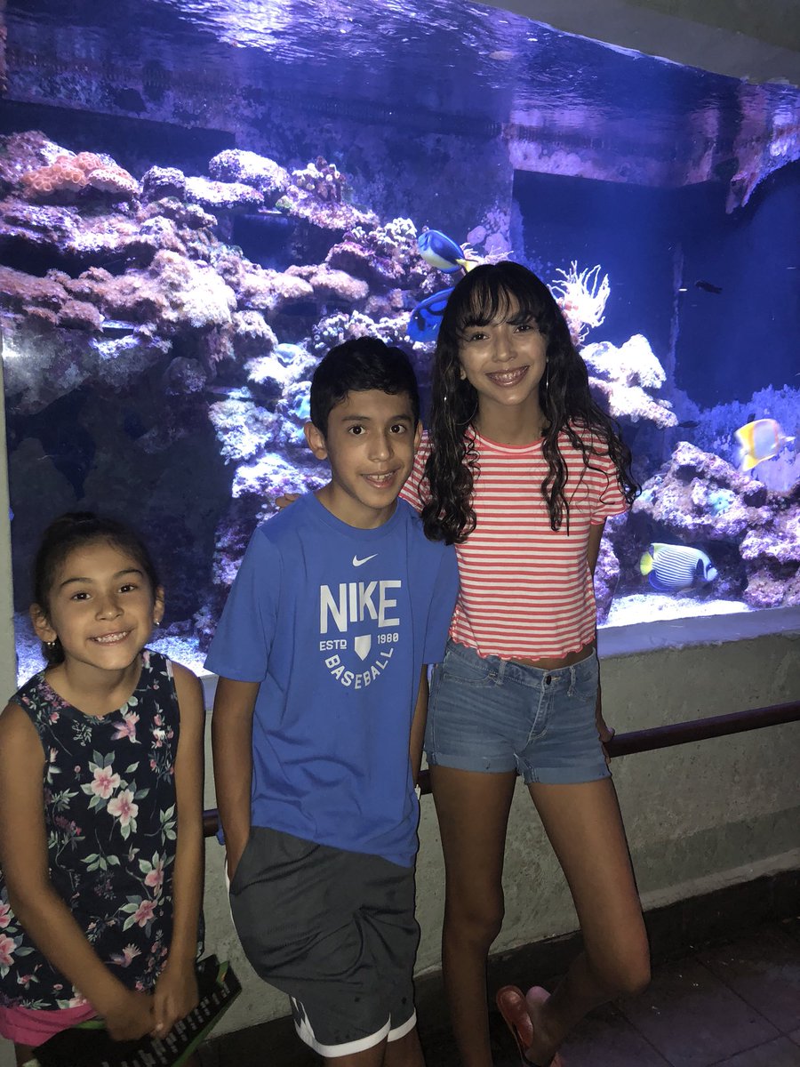 michelled1's tweet photo. Went to the aquarium, my kids had to tell me to get out of teacher mode #summer #family #alwaysonteachmode https://t.co/2h1ywD0IkE