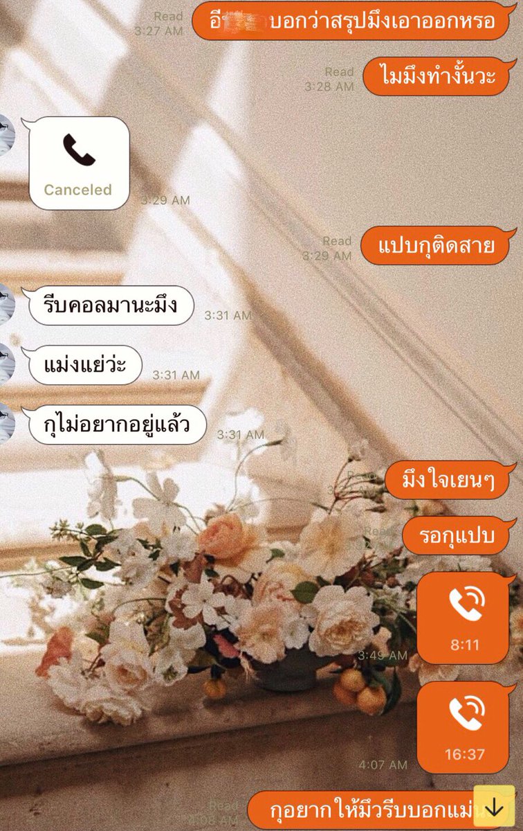 ขออนุญาติแหก tweet media