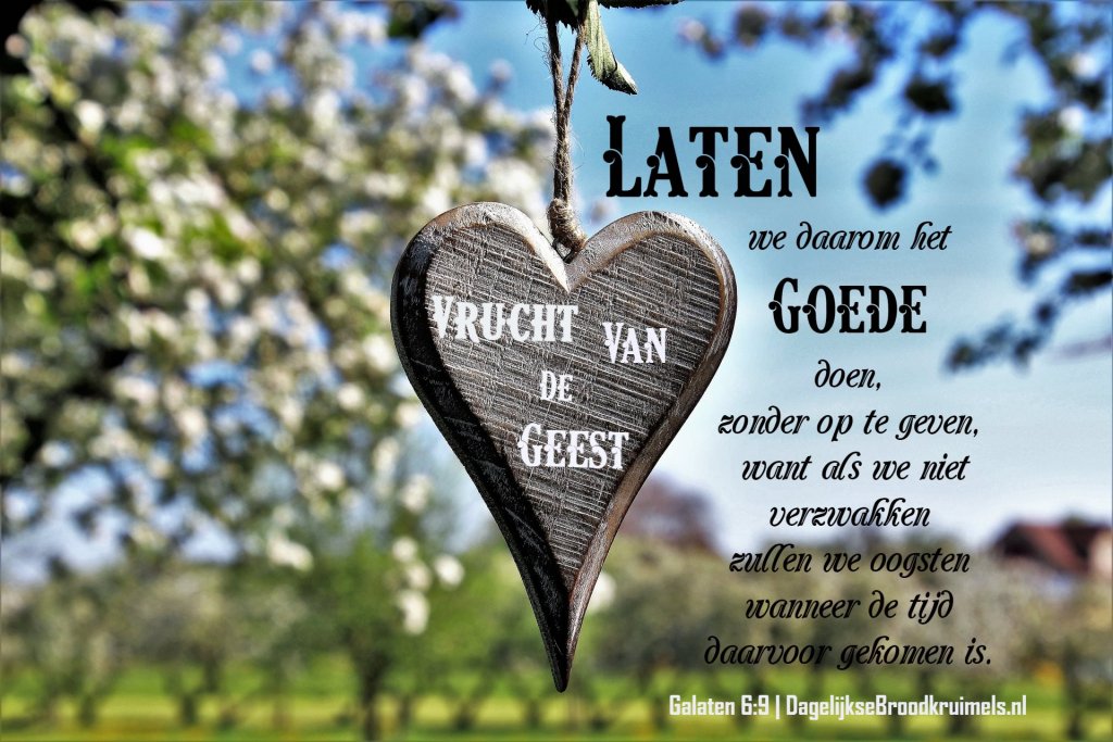 dglksbrdkrmls's tweet image. Galaten 6:9 #Betrouwbaarheid #Eerlijkheid #Goedheid - dagelijksebroodkruimels.nl/galaten-6-9-2/