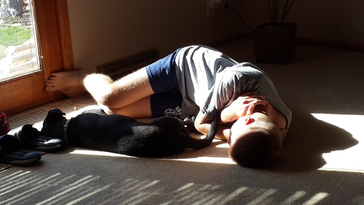austinjtruex's tweet photo. Almost 84 years old and she still has more energy than me. (Most days.) 😋❤️🐶 https://t.co/zXQfvXdDkw