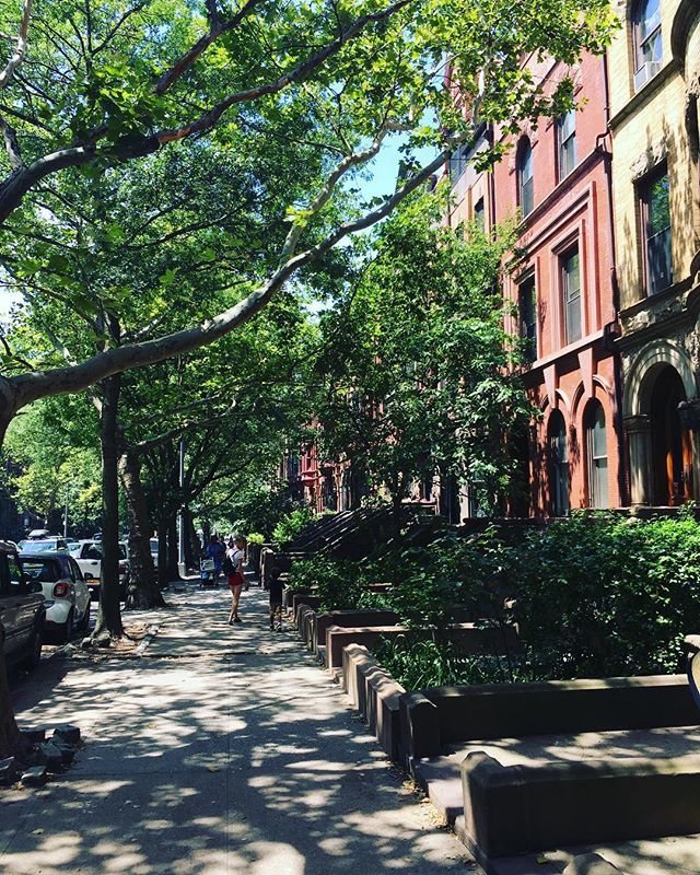 soshanau's tweet photo. Literary stalking (Paul Auster) in Park Slope #idlivehere #literarystalking #paulauster #parkslope #parkslopebrooklyn #brooklyn #newyork #brownstones https://t.co/Swe2qzHW8S https://t.co/Q9nHHDLRMT