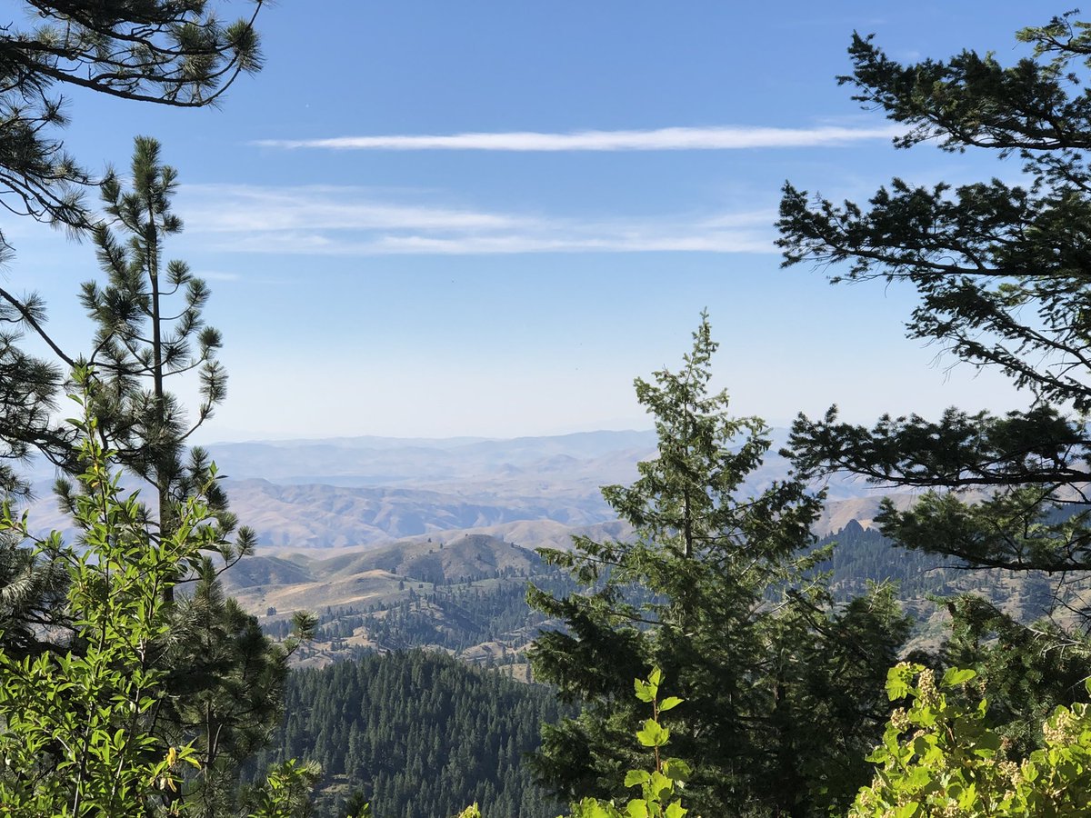 vern_jules's tweet photo. The Warrior of Peace: Jules on the Road

Switch back driving. Roadside bars. Evening time mountain climbing towards a satanic ritual rock formation up the mountain. 

Cheers!!

A. Julian Verner LLC
https://t.co/CZHcmi6tAg

#StillStanding #patience #ChaoticGood #roadtrip #writing https://t.co/EYkIi2Yiqc