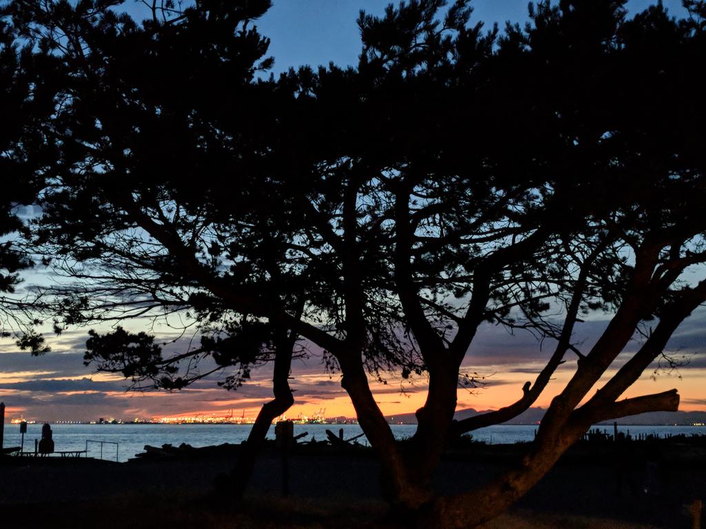 MuketyMuk's tweet image. #Sunset at #LighthousePark #PointRoberts a perfect 19 C and the light 5-10km/h SW moderate waves. Just a bit of Virga was all. #Campground is jam packed full but cosy.  Everyone has their campfire going. #BCStorm #WAWX