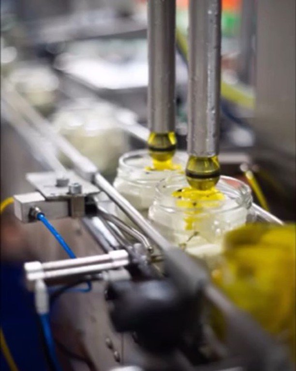 MeredithDairy's tweet photo. And she is born. https://t.co/PNTRhKhDAw https://t.co/TUGny730la