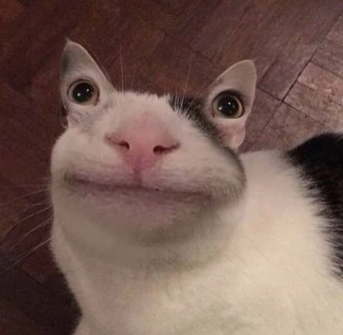 kaleyryan's tweet image. 