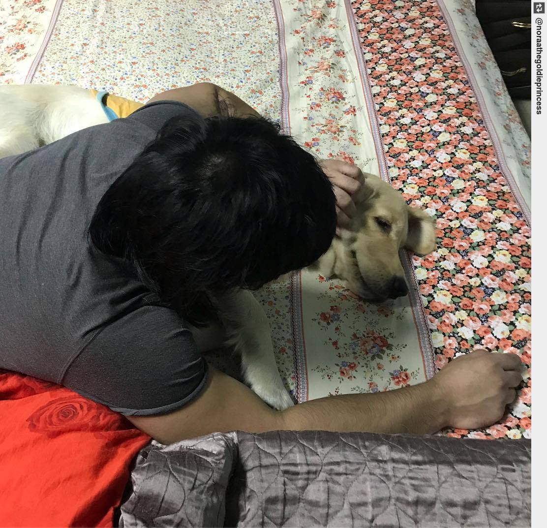 IngloriousDogs's tweet photo. Waiting for my brother to come back from his vacation & Pet me 🐶⏳🕰 #noraa #goldenretrieverpuppy #welovegoldens #puppy #puppylove https://t.co/DHyyTPTscX