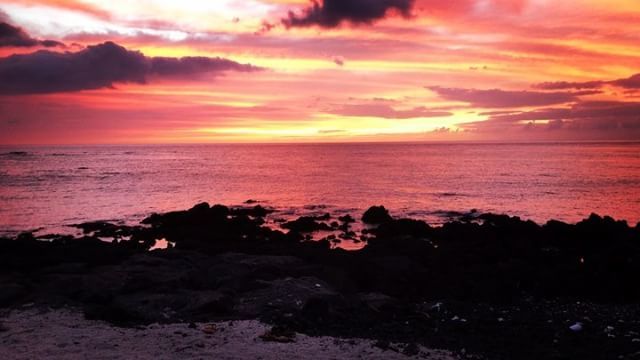 247DANCEFORCE's tweet photo. Last night in Kona❤️ #247danceforce #jointheforce #247legacy #boomkekona https://t.co/xlhL5KhlgC