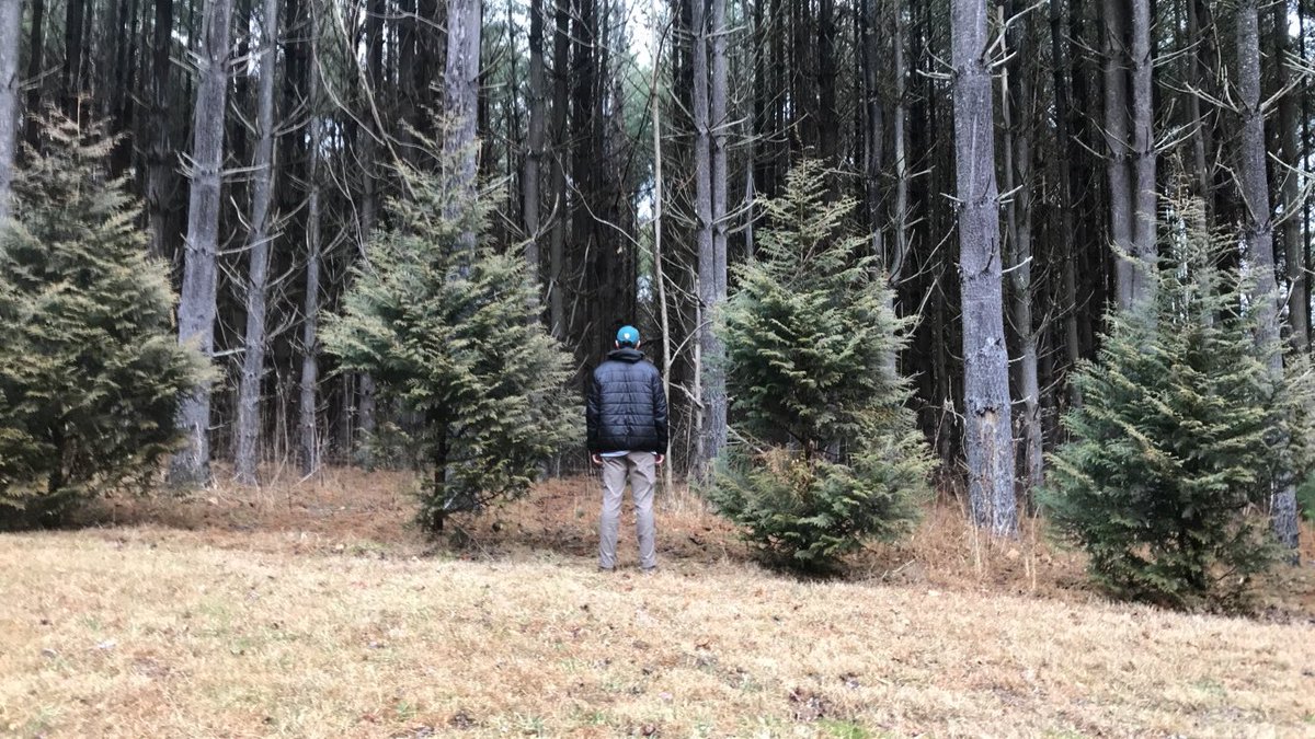 c_robertkelly's tweet photo. #Hiking #hike #naturelovers #naturephoto #outdoor #donate #follow #organization #hashtag #AdventureTime #adventuretravel #travelling #FindYourGreatness #Happiness #loveyyourself #wildlife #River #woods #PeaceAndLove #peace #hikingawayfromptsd https://t.co/QkNvNq1drE