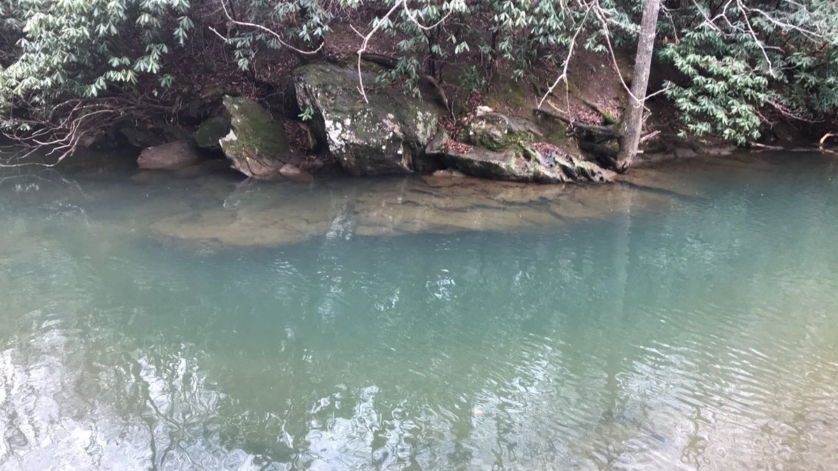 c_robertkelly's tweet photo. #Hiking #hike #naturelovers #naturephoto #outdoor #donate #follow #organization #hashtag #AdventureTime #adventuretravel #travelling #FindYourGreatness #Happiness #loveyyourself #wildlife #River #woods #PeaceAndLove #peace #hikingawayfromptsd https://t.co/QkNvNq1drE
