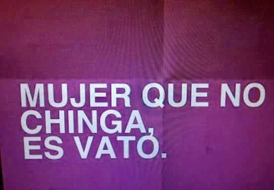 ELM2TORRES's tweet image. ¿Apoco no mis compas? #ViernesBotanero