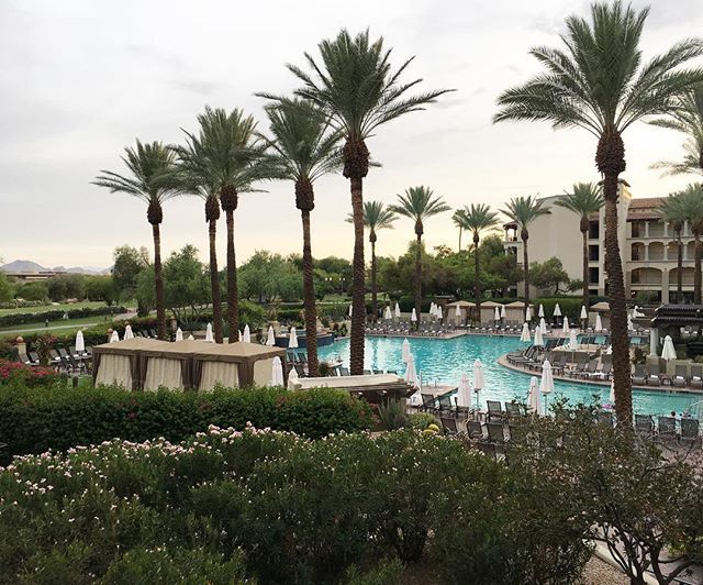 sam_whit22's tweet photo. Enjoying a #staycation at the Fairmont Scottsdale Princess this weekend! ☀️🍹🌴
.
.
.
#AtThePrincess @fairmontscotsdl #bestsummerever #fairmontmoments #absolutelyscottsdale #funinthesun #treatyoself #fairmonthotels #exploringarizona #arizonagram #arizo… https://t.co/WcWxXhAT0O https://t.co/UZ0KltwMFb