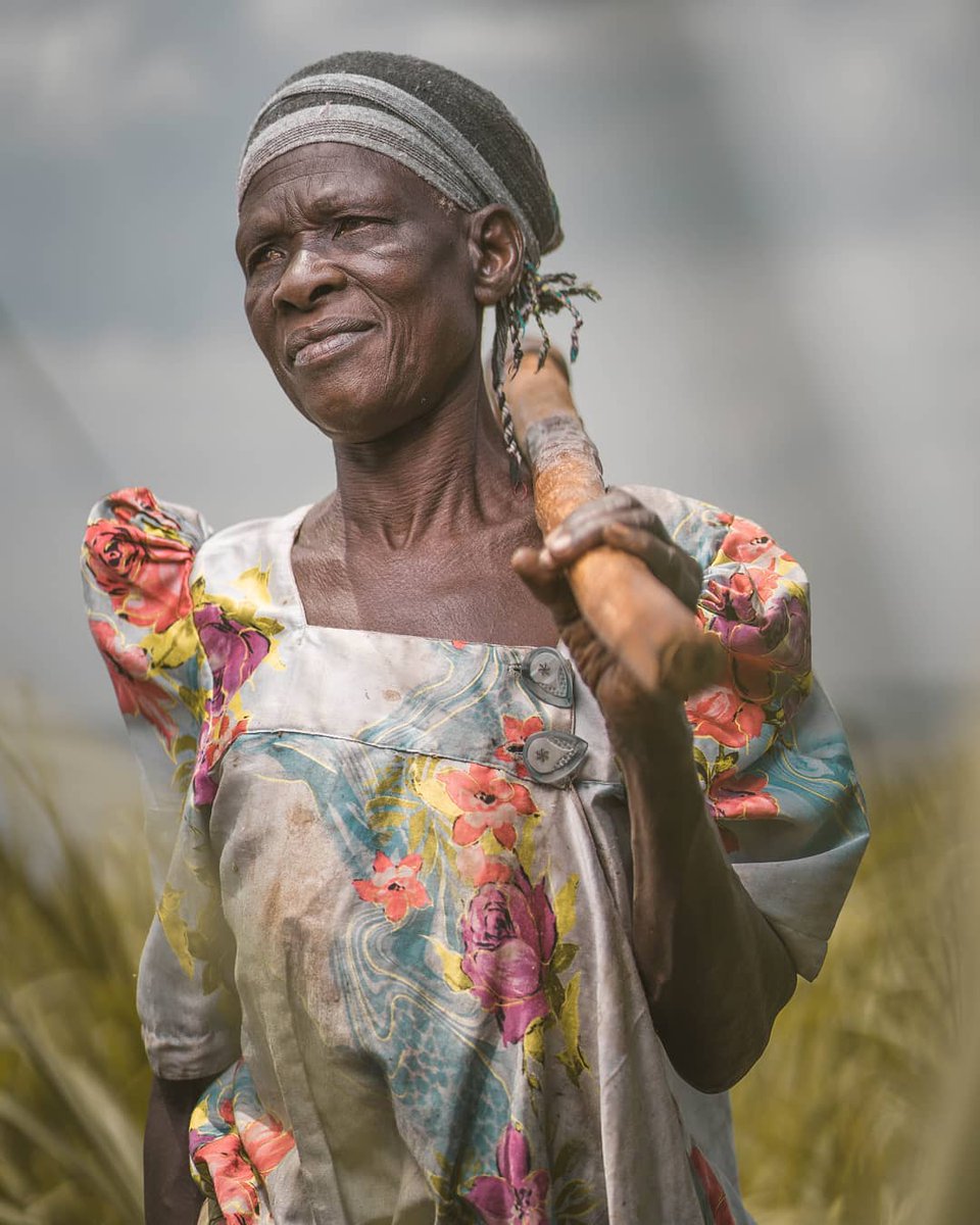 Thisisuganda_'s tweet photo. 'Women in Africa are strong!  They do what they need to do to take care of their family. In Uganda, the women, not men, do most of the digging and agriculture work for the family. We see you women! You do not go unnoticed'

Image : @bobditty
#thisisuganda https://t.co/52JbONZW5U