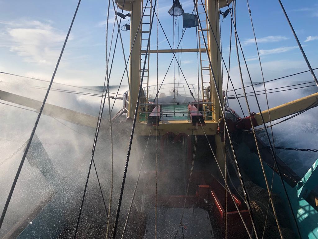 Populaire uitspraak laatste tijd onder #boeren en #vissers:

"Misschien is het tijd voor een nieuwe #voedselcrisis. Die brengt doorgeslagen beleidsmakers en fanatieke activisten vast tot inkeer."

Ca. 1% van de wereldbevolking verzorgt ons eten. #Voedselmakers; wees er zuinig op.