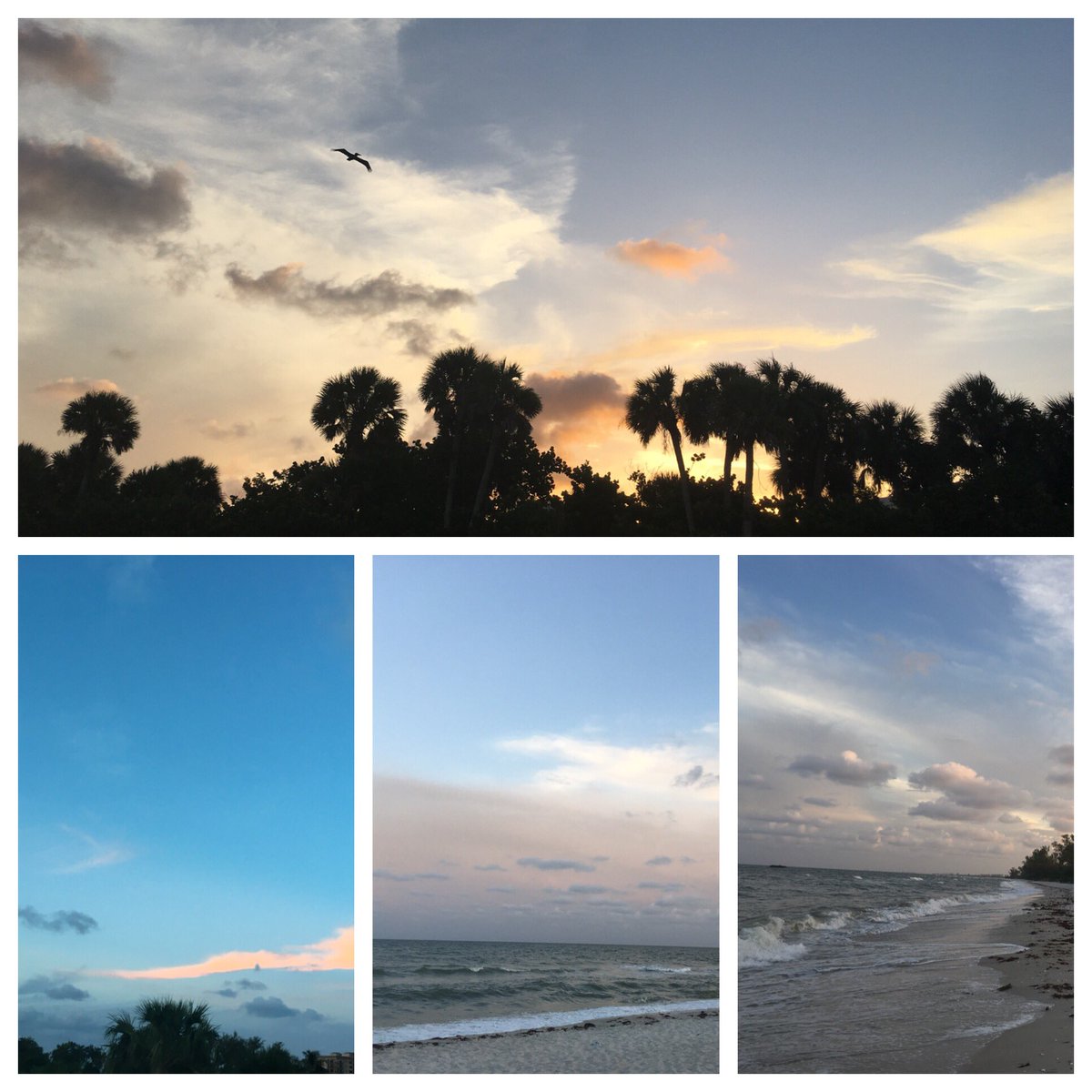 All stages of this mornings sunrise were so pretty #DelnorWiggins #naples #florida #beachstrolling #sunrise