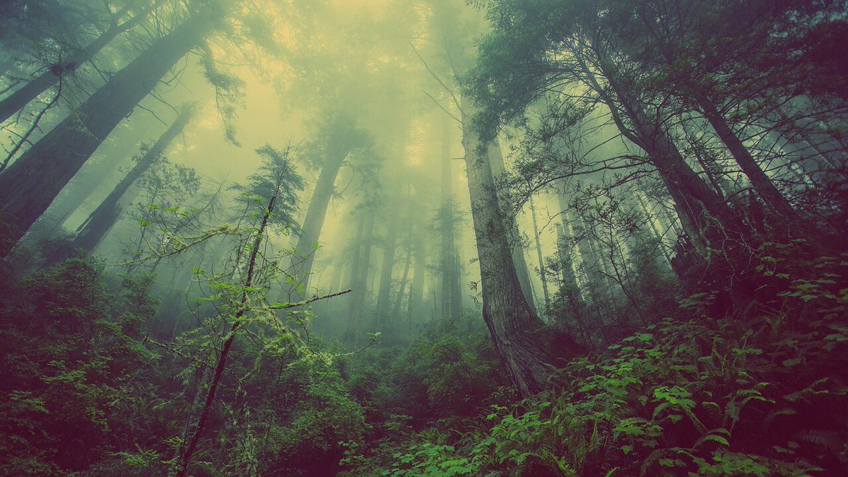UNEP's tweet photo. We have reached—and in some cases surpassed—nature’s ability to regenerate. 
It’s time to change how we measure our well-being and take into consideration natural wealth. https://t.co/iWDq0s4DpY #biodiversity https://t.co/g8MudDu9DJ