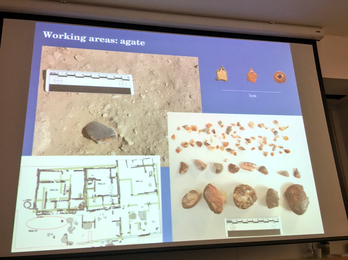 Steph_Boonstra's tweet photo. Great to see the progress of @Udjahorresnet1 work at Amarna funded by @TheEES looking into an 18 Dynasty workshop #CBAES https://t.co/C0TRbtrwl3