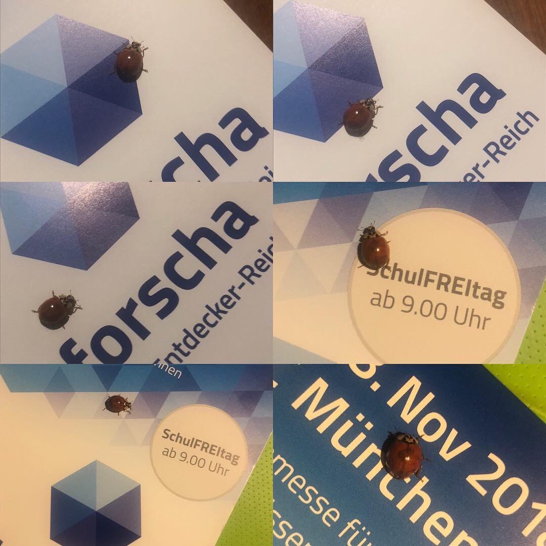 forscha's tweet photo. #Forscha18 im Glück. #glückskäfer auf dem Weg zum #schulFREItag.  #makeitpossible https://t.co/JBq5rUweAF