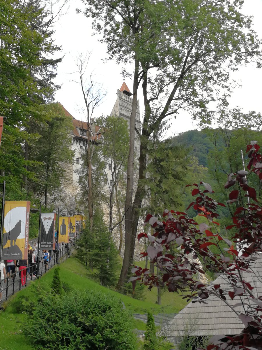 Abraham Rojo tweet media