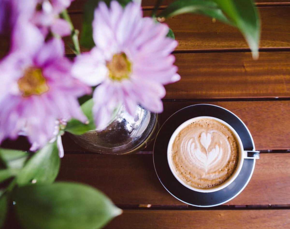 Germack Coffee tweet media