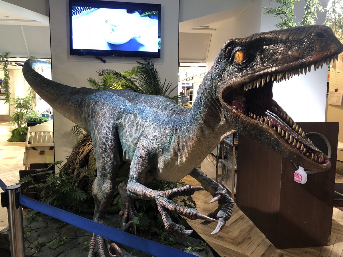 The Guest Cafe Diner 池袋パルコ店 Twitter પર ジュラシック ワールドカフェ 只今87番までお呼び出しを致しております お呼び出しメールが届きましたらカフェ手前階段最後尾にお並び下さい ダイナソーケーキはまだございますので お早めにお買い求め下さい