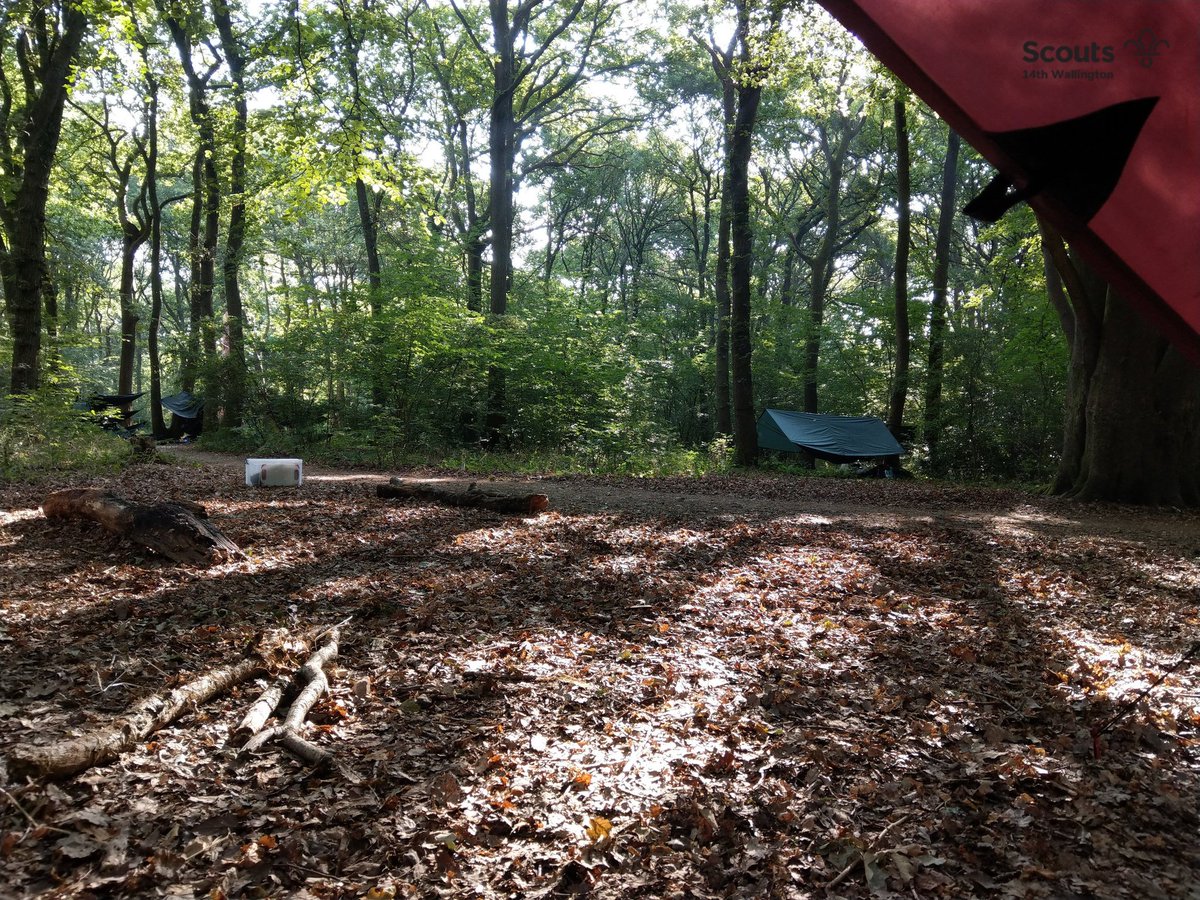 14th Wallington Scouts tweet media