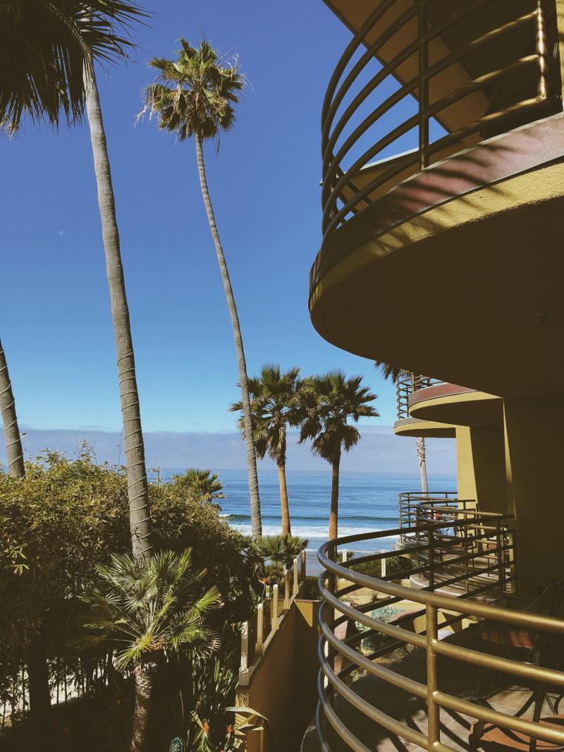 estalter's tweet image. I'm a finalist in Pacific Terrace Hotel's photo contest. Help me rally votes! flip.to/r/K9-kyl @PacificTerrace