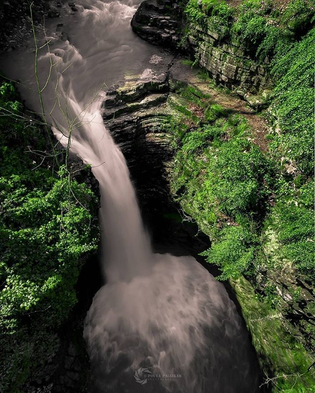 surfiran's tweet photo. #Visadar Waterfall #Gilan province #Iran #Persia. Visdar means the shadow of the willow tree
#SURFIRAN #TravelIran #irantours #pin #traveliran #instatravel #travelgram #traveling #WorldCaptures #TravelStoke #BeautifulDestinations #MeetTheWorld #IranAdventuretour #IranAdventure # https://t.co/bOs5n0yiAq