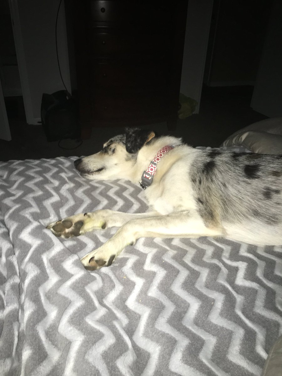 Jeffprice5906's tweet image. #thunderbuddy @wxornotBG