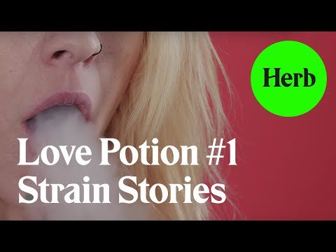 TokenBudz420's tweet photo. Love Potion Number 1 | Strain Stories - https://t.co/0gVx0Nj26i #420 #hightimes #medicalmarijuana  #stoner #imhigh https://t.co/jRAjR3QheI