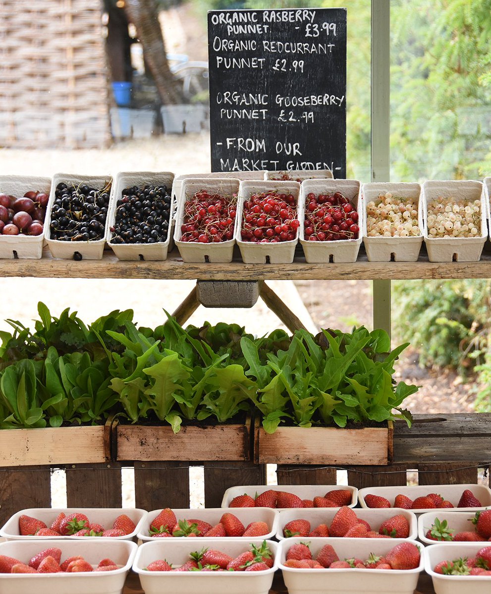 Redcurrants, blackcurrants, whitecurrants or strawberries? #homegrown #organic #freshfromthefarm #summer