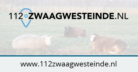 112zweinde's tweet photo. Tamme kraai vermist: Eergisteren ontsnapt. Hij is aan mensen gewend dus kan zo bij iemand zitten? Heeft een zwarte ring om met witte inscriptie willen hem graag terug. Wie weet waar hij is? Het bericht Tamme kraai vermist verscheen eerst op 112… https://t.co/LEUeXj4TUb https://t.co/pXuyE6fY6A