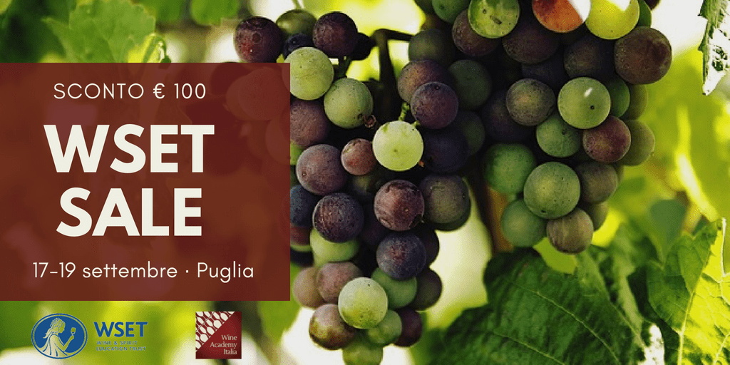 WSET SALE 😱 sconto di €100 per il Corso WSET 2 che si terrà a <a href="/castellomonaci/">Castello Monaci</a> il 17 settembre. Per info: bit.ly/2LxzzOH Organizza <a href="/WineAcademyIta/">robert_wine</a> #WSET #WSET2 #wine