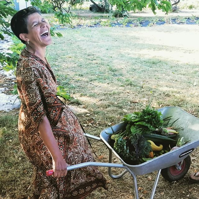 Alegria total! Janeth har vært og høstet grønnsaker, og det blir man skikkelig glad av! #nabolagshager #geitmyraskolehage #grenseløsegrønnsaker #sommerioslo #urbantlandbruk #spirendeoslo #miljøhovedstaden2019 ift.tt/2mwjT3l