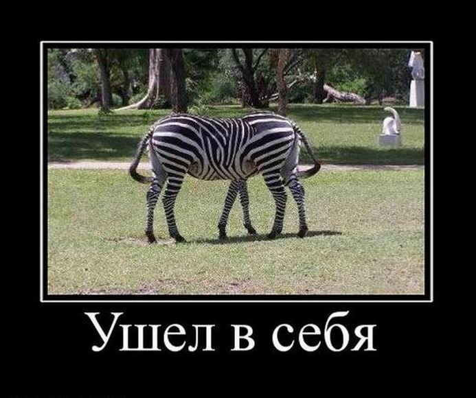 Смешная картинка ухожу