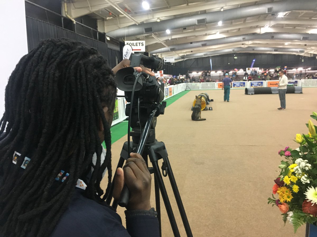 AFRILIVE's tweet image. Afri Live Stream and Productions at the 14-16 July 2017 - WODAC Pet Expo.   #afrilivestream  #wodac2018 #wodacpetexpo #gallagherconventioncentre #dogs #gats #pets #animals WODAC is renowned for its world-class attractions. All under one roof, 10,000sq m of FUN. @WODACPETEXPO