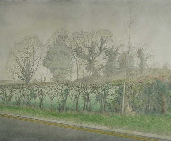 'Even before I became a painter, trees have been as essential to my world as the beasts of nature.'
#WladyslawMirecki one of 28 artists exhibiting at the landmark ‘Arborealists’ exhibition at John Davies Gallery until 4 August.
bit.ly/Arborealists <a href="/TheArborealists/">The Arborealists</a> #cotswolds