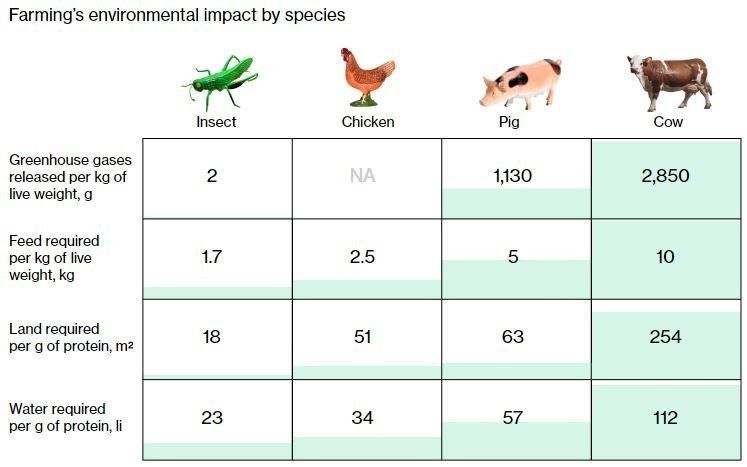 wef's tweet photo. Good grub: why we might be eating insects soon https://t.co/YFdPFhtRX2 #food https://t.co/oFiBgpt26c