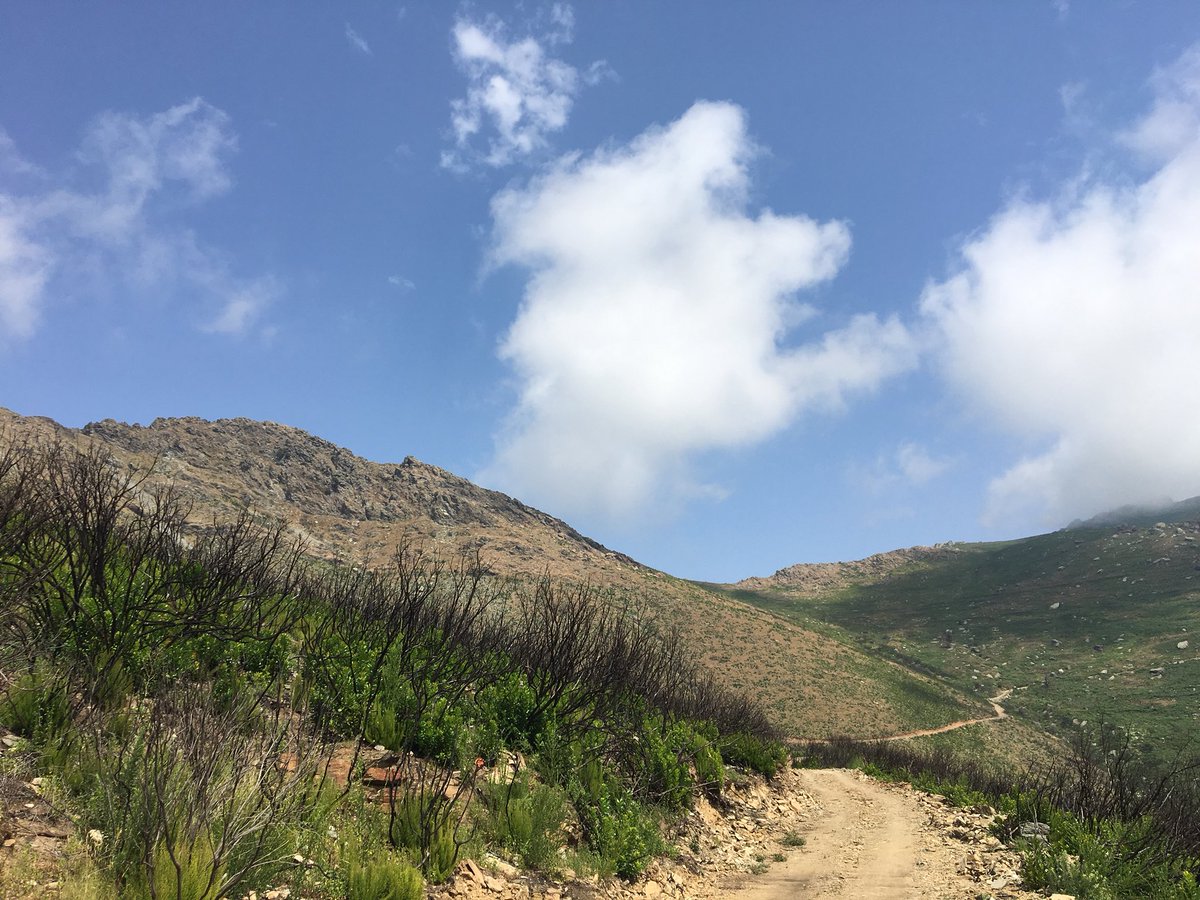 jezstemp5's tweet photo. Couldn’t make #OMMAlps so created my own #OMM #Corsica! #trail @MarcusScotney @WildGingerFilms https://t.co/a5RwCIxFYk