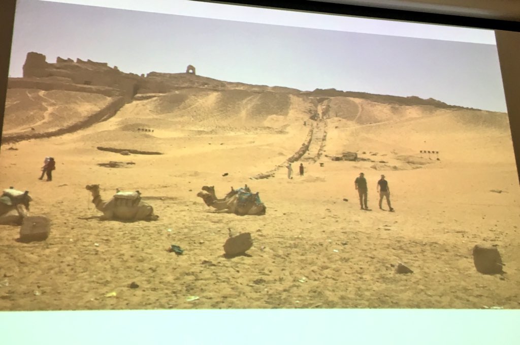 Steph_Boonstra's tweet photo. Dr Martin Bommas of @unibirmingham shows the stunning views of Qubbet el-Hawa including camels and a causeway #CBAES @TheEES https://t.co/nAlRCbRBwO