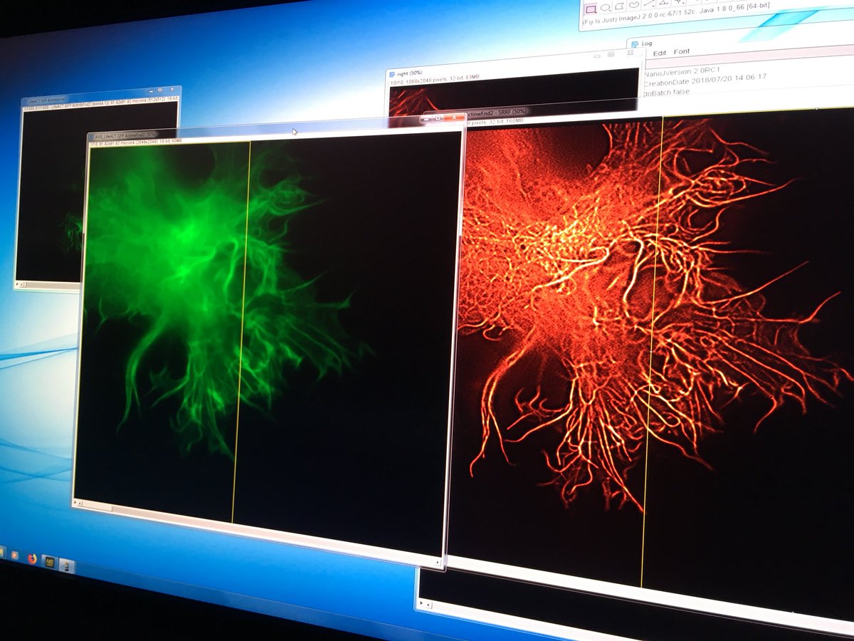 Anna M K tweet media