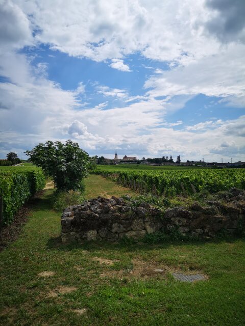 #SEJF2018
Un #instantsaintemilion unique pour le <a href="/StEmilionJazz/">Saint-Émilion Jazz Festival</a>, Sylvain Luc au <a href="/ChateauSoutard/">Château Soutard</a> pour une dégustation musicale ! Ou la finesse de l’improvisation ! Nous retrouvons Sylvain Luc à 20h dans les Douves du Palais Cardinal !