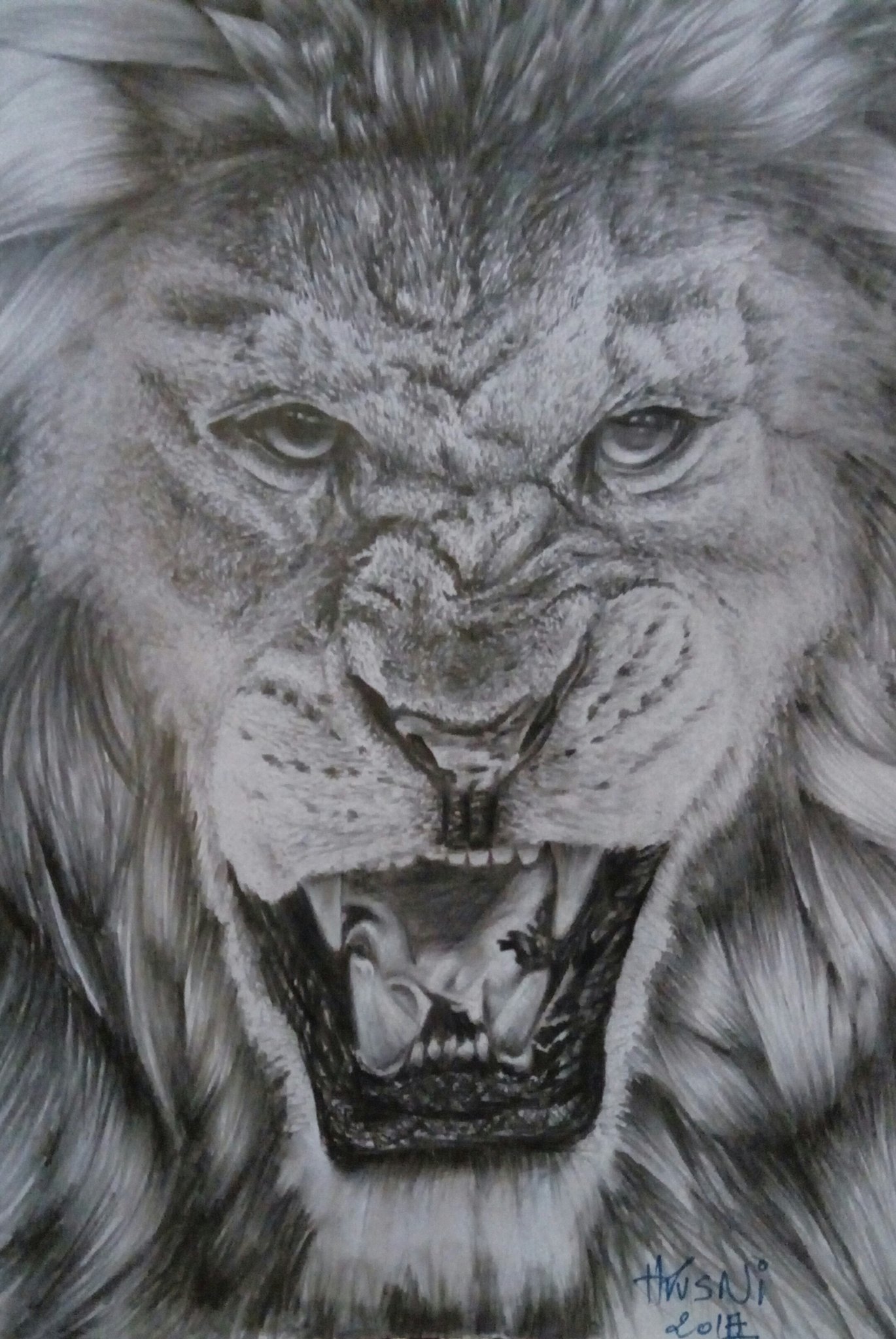an angry lion illustration a hand drawn illustration of a wild animal  head line art drawing for emblem poster sticker tattoo etc Stock Photo   Alamy