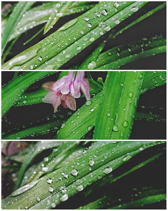 Martin Perreault (@martinperreault) on Twitter photo My trip to #vietnam is almost over. Soaking in some of its beauty before I go.  #catbaisland #halongbay... My trip to #vietnam is almost over. Soaking in some of its beauty before I go.  #catbaisland #halongbay...