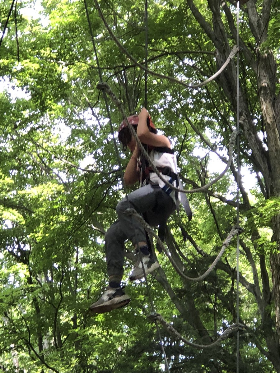 AdventurelandON's tweet photo. Fun at high ropes https://t.co/yHO1KgQbiI