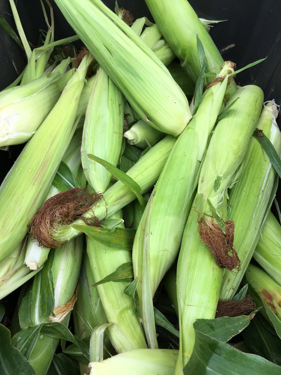 HSmarketmaster's tweet photo. We still have corn! https://t.co/ayf1qIGOJ1