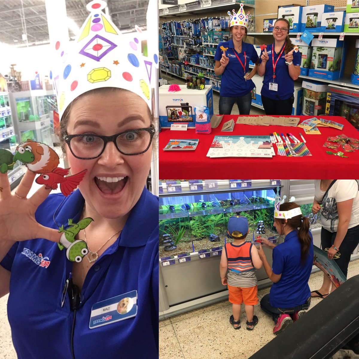 PetSmart Miramichi tweet media