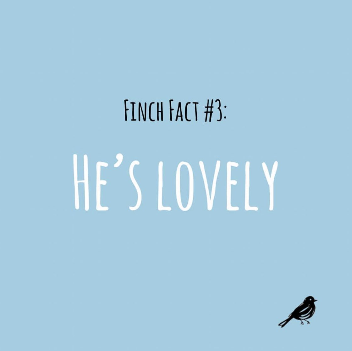 AllBrightPlaces's tweet photo. We can’t wait to share our Finch with you💕 Are you ready for Monday?🐦🌸😍😭
#AlltheBrightPlaces #FinchFact #TF https://t.co/n4tpZioKEP