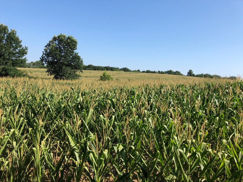 Heath Stuart, on the field staff for Scent Crusher, from MS just booked his mid-October 3 day archery hunt in North MO! We're excited for you and Kenny and can't wait to see how your experience ends!

You can book yours today too! bit.ly/HuntListings

#hunting #archery