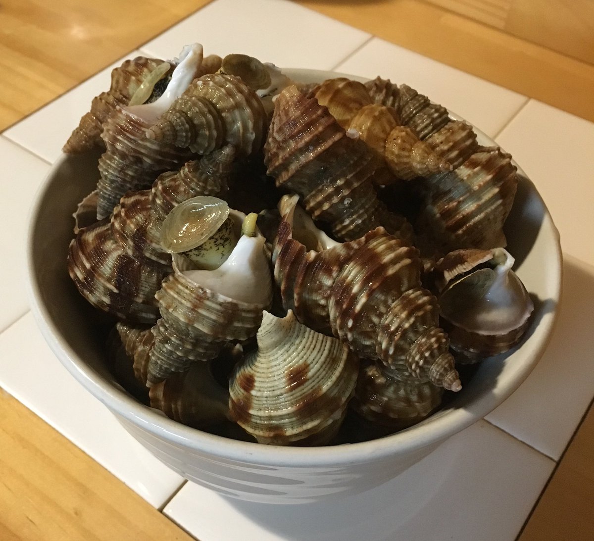 Mp118ポポ これが なかなか美味しい ハタハタ干 頭はカリカリ 身はプリプリで脂がのっていて最高のツマミです 灯台ツブ貝 塩茹でが1番簡単で 爪楊枝でほじくりながら食べるのも なかなか Mp118ポポ これが なかなか美味しい ハタハタ干 頭はカリカリ 身はプリプリで脂がのっていて最高のツマミです 灯台ツブ貝 塩茹でが1番簡単で 爪楊枝でほじくりながら食べるのも なかなか